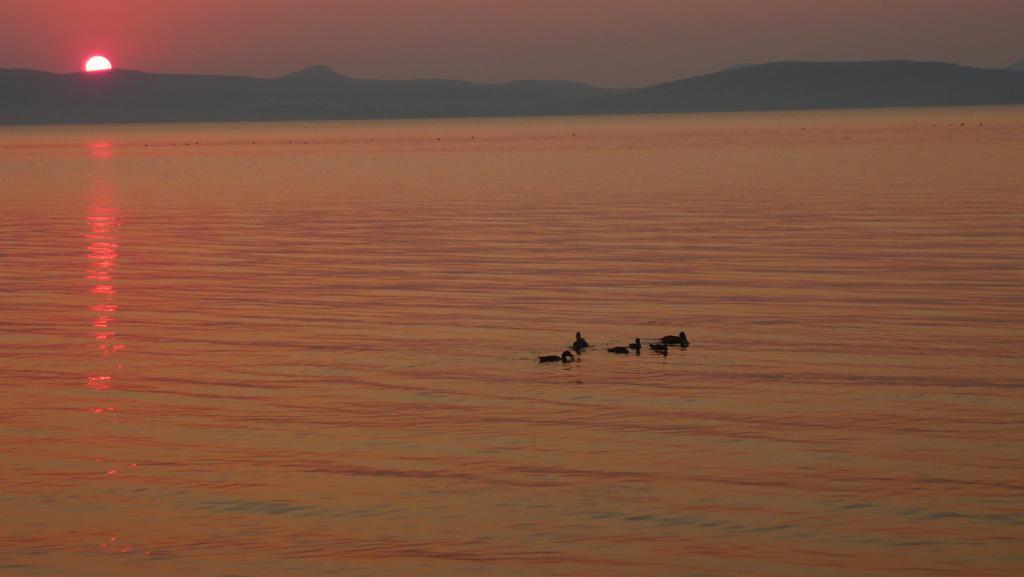 Aranyhid Hotel Balatonboglár Eksteriør bilde